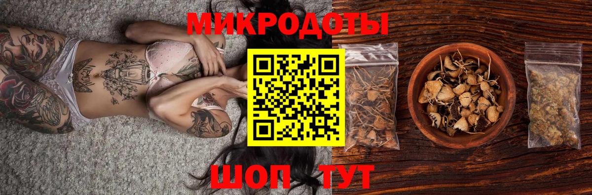 Галлюциногенные грибы Psilocybe Югорск