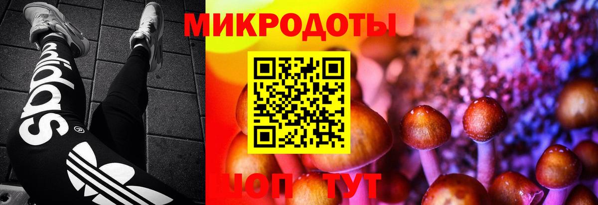 где купить   Вход с VPN  Галлюциногенные грибы прущие грибы  Югорск  Псилоцибиновые грибы Psilocybe 